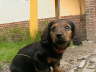 Biggi (3)