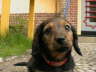 Biggi (7)